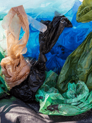 캐릭터 저장해두1니다똥먹고싶다