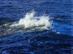 빛하커 백성휘의 프로필.