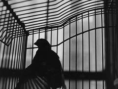 [에루리]악마의 축복, 천사의 죄-3