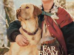 D432) 파 프롬 홈 (Far From Home: The Adventures Of Yellow Dog, 1995)