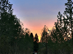 Pro.(1) 남이준의 첫인상