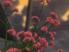 내일 우리 세계가 끝난대.