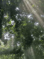 삶은 살아지는 게 아니라 살아내는 것