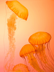 도대체 주식 종목이 뭐야