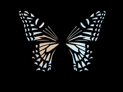 박제가 되어 버린 천재를 아시오?