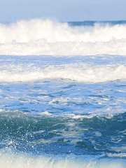 스파이시 레몬 벌스