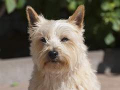 운 좋게 하는 법 -사람 미치게 하는 상황속에 있는지 체크!