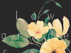 레디메이드: 110 - 미열