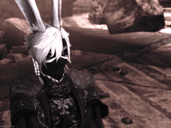 저 시집갑니다 감사합니다