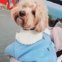 스타라이트시오