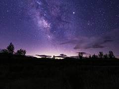 당신을 좋아했어.