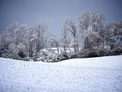 Blanket of Snow