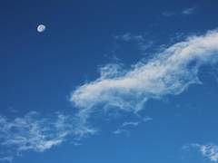 [세트아펠] 낮에 떠오른 달 上