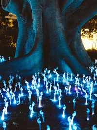 시리즈 미지의 연못. 다시 주어진 기회.