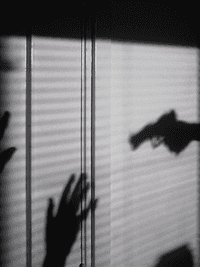 시리즈 THE SURVIVAL.