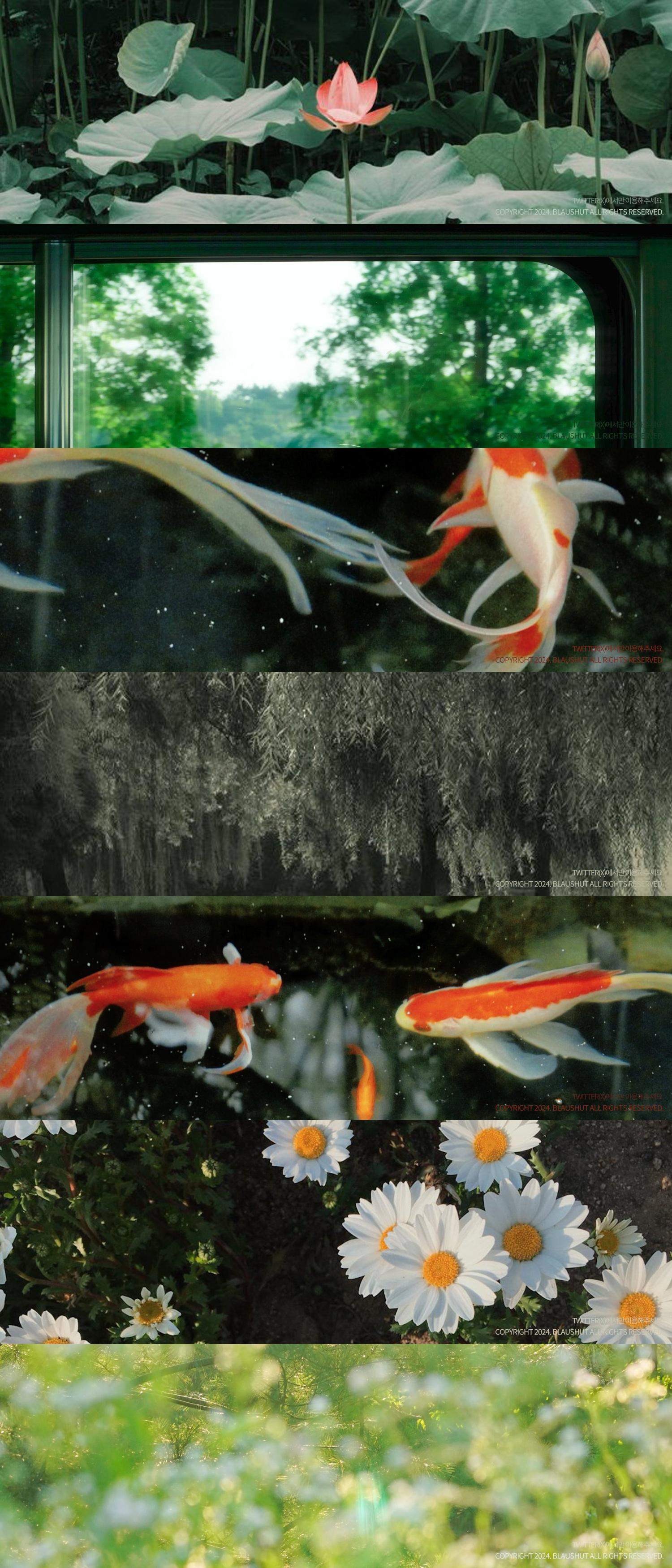 헤더 공유 모음: BLAUSHUT