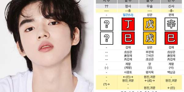 차준환, 화토 천재와 귀문의 예술성: 사주컨설팅