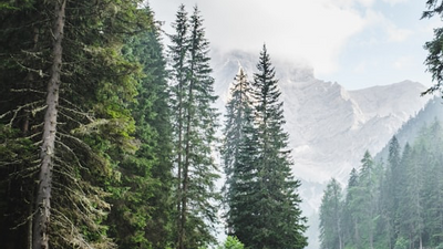 포스트 누비라의 신전 E