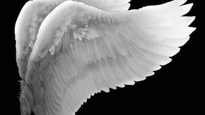 포스트 날개를 달아줬으면 날지 그랬어.