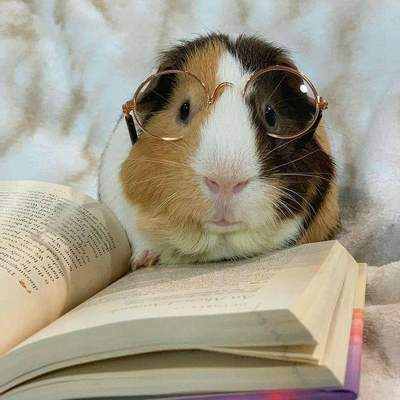 리퀘스트-사주 풀이