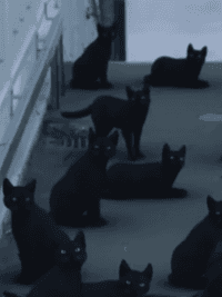 시리즈 자나깨나 요괴조심