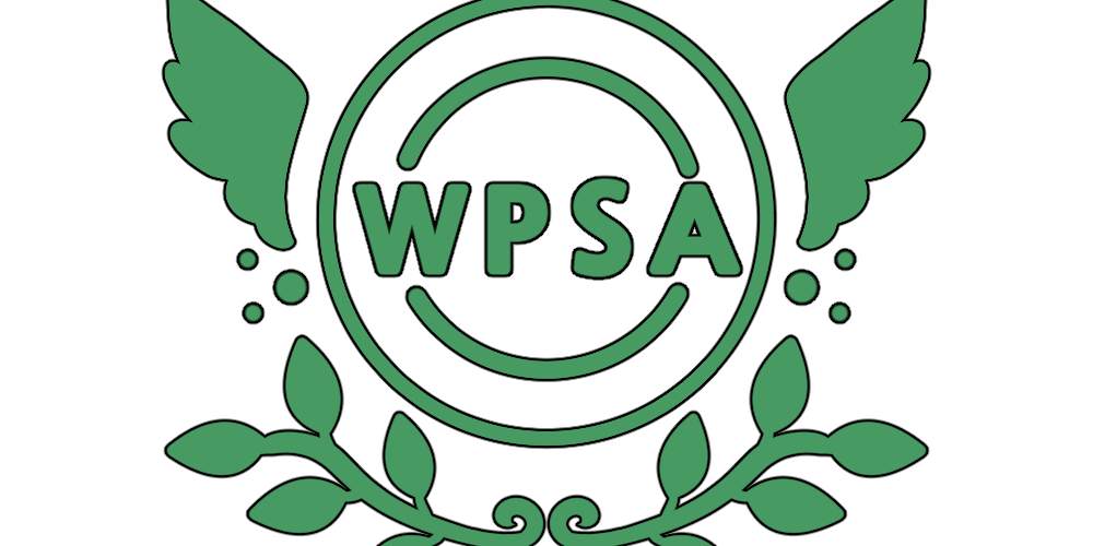 [WPSA] 괴현상이 발생 중인 회사에 잠입했다: 해설자