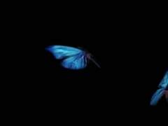 [NXO] 입학을 환영합니다 α-3