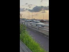 강아지풀을 좋아하세요?