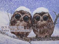 함박눈 속의 아기 부엉이 형제 - 아크릴페인팅