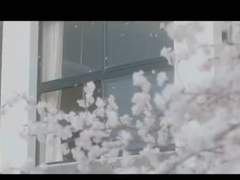 너의 췌장을 먹고싶어