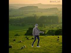 RAVI 합삐합삐합삐 고양이 패러디 - FF14 몰볼편